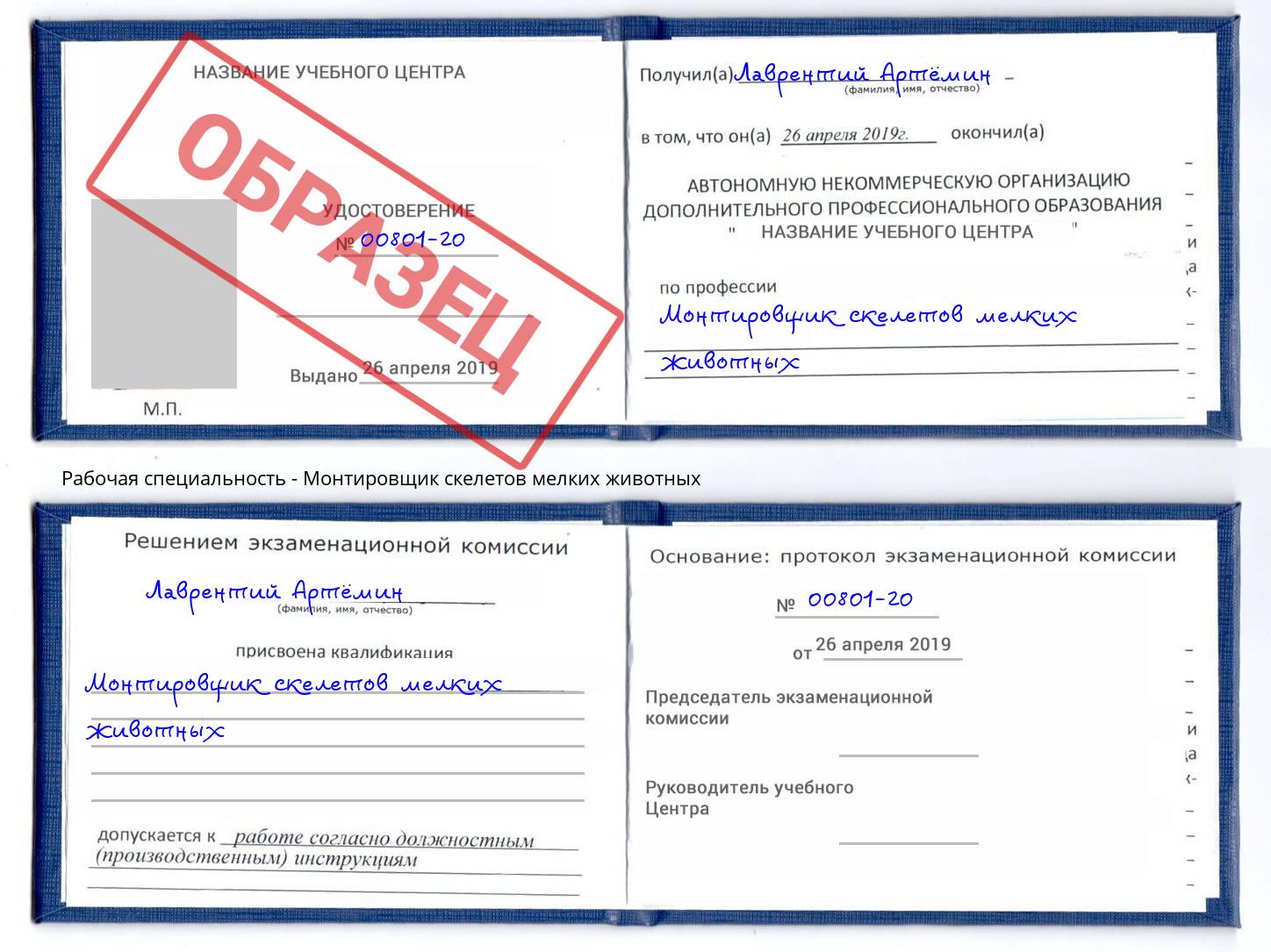 Монтировщик скелетов мелких животных Кумертау