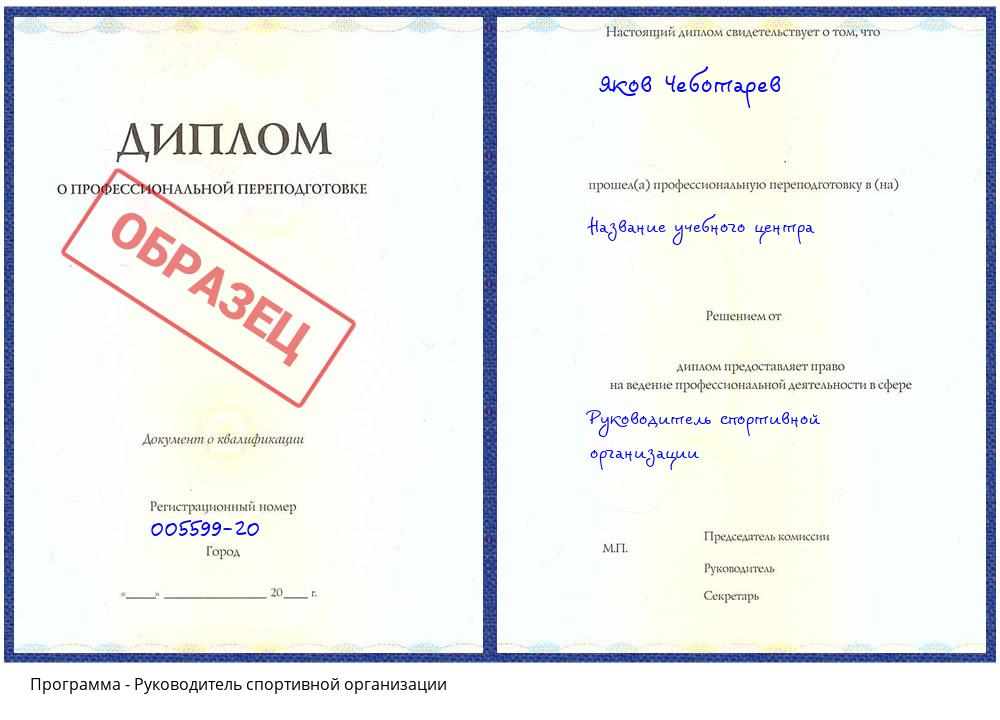 Руководитель спортивной организации Кумертау